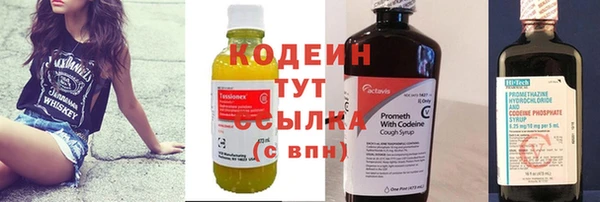 прущие крисы Каменка