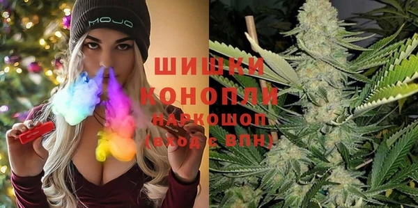 mix Туринск