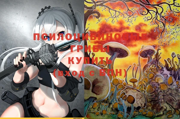 прущие крисы Каменка