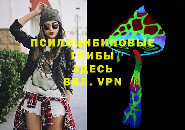 прущие крисы Каменка