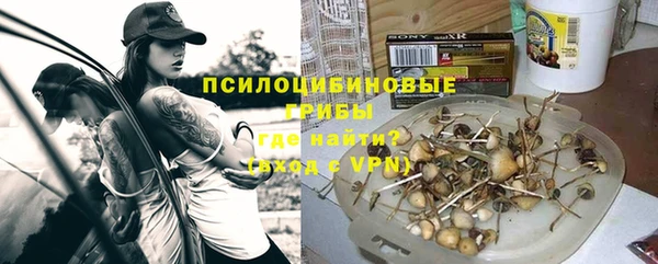 прущие крисы Каменка