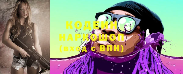 прущие крисы Каменка